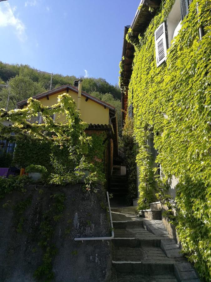 Casale Maria Mafalda Pieve di Teco Екстериор снимка