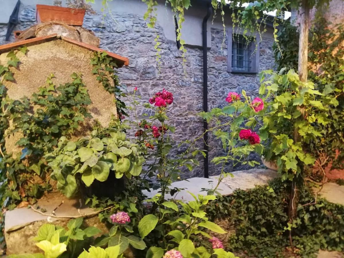 Casale Maria Mafalda Pieve di Teco Екстериор снимка