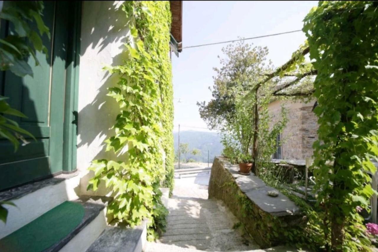 Casale Maria Mafalda Pieve di Teco Екстериор снимка