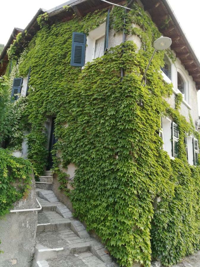 Casale Maria Mafalda Pieve di Teco Екстериор снимка